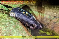 Varik - Vos overlijdt na aanrijding