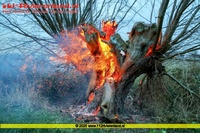 Tiel - Knot in brand door vuurwerk